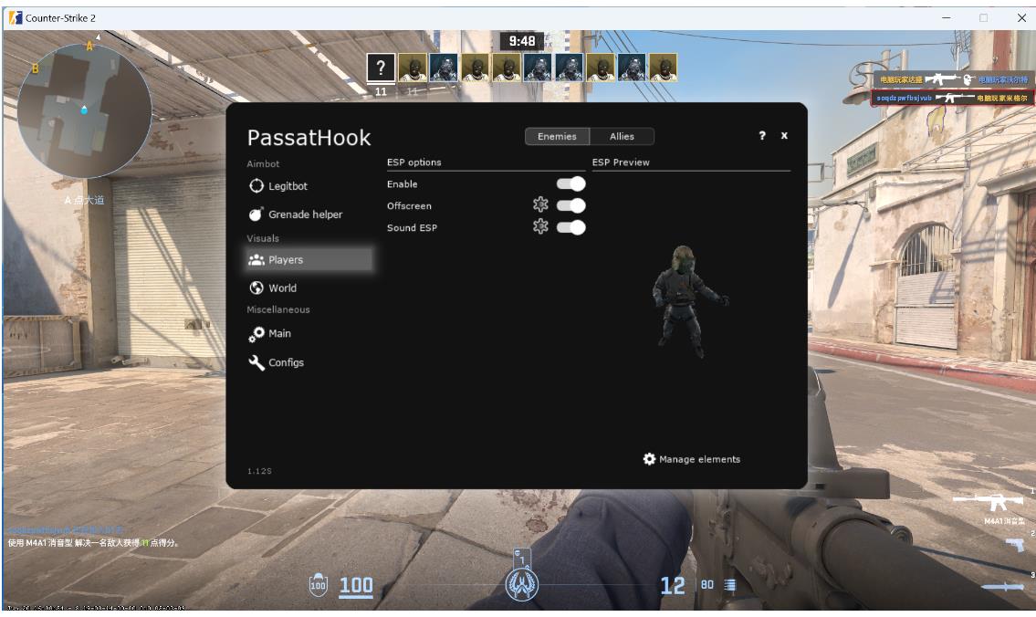 CS2-PassatHook多工能助手V10.19下载_更新置顶 图1