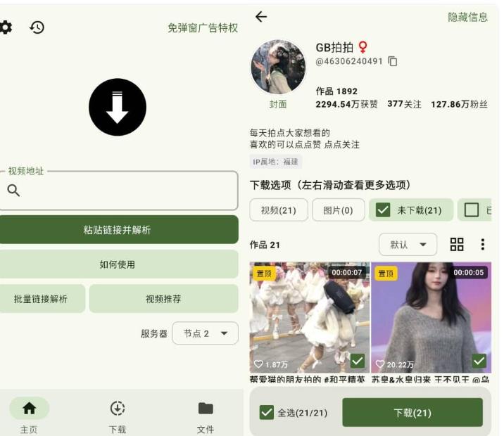 抖下载_v2.4.2纯净版 图1