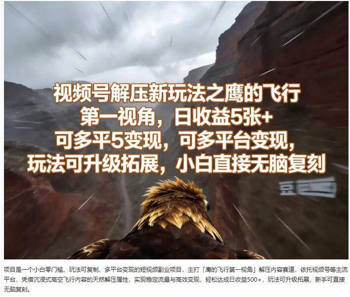 视频号解压新玩法之鹰的飞行第一视角，可多平台变现，玩法可升级拓展，小白直接无脑复刻 图1