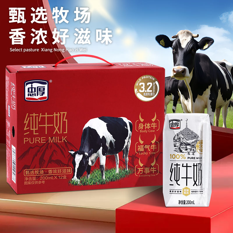 [红色礼盒装]忠厚纯牛奶200ml*12盒每箱新鲜儿童学生成人牛奶